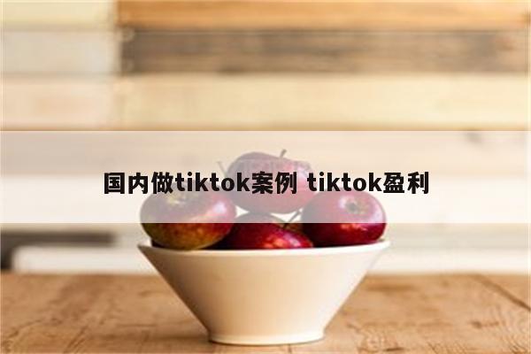 国内做tiktok案例 tiktok盈利