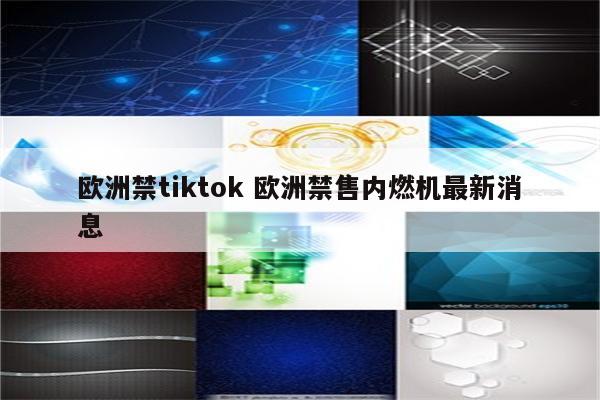 欧洲禁tiktok 欧洲禁售内燃机最新消息