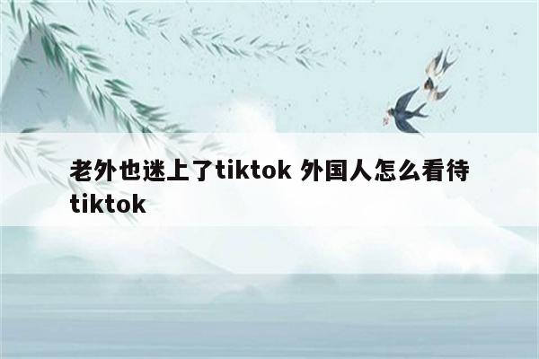 老外也迷上了tiktok 外国人怎么看待tiktok