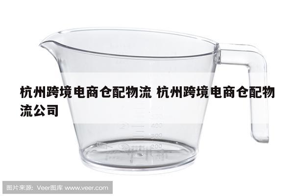 杭州跨境电商仓配物流 杭州跨境电商仓配物流公司