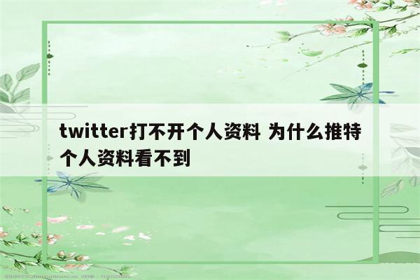 twitter打不开个人资料 为什么推特个人资料看不到