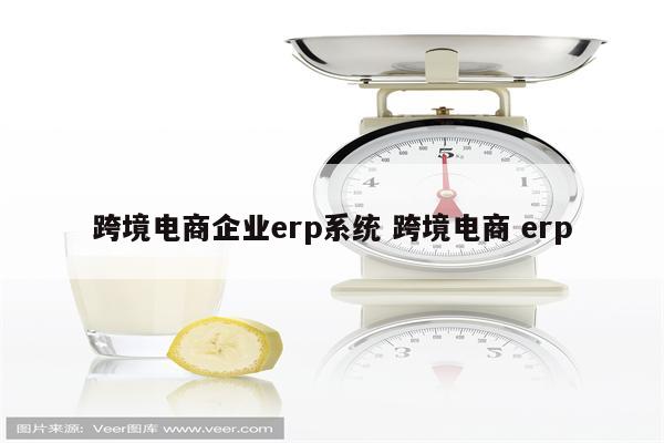 跨境电商企业erp系统 跨境电商 erp