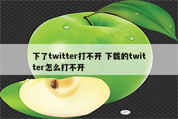 下了twitter打不开 下载的twitter怎么打不开