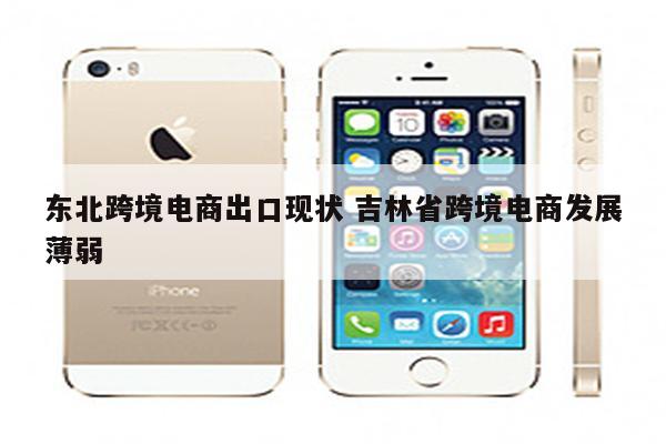 东北跨境电商出口现状 吉林省跨境电商发展薄弱