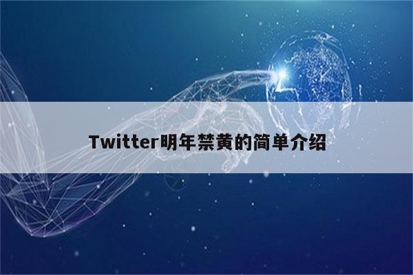 Twitter明年禁黄的简单介绍