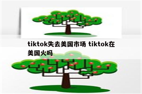 tiktok失去美国市场 tiktok在美国火吗