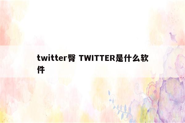 twitter臀 TWITTER是什么软件