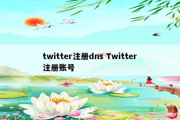 twitter注册dns Twitter注册账号