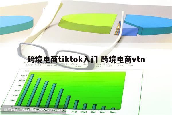 跨境电商tiktok入门 跨境电商vtn