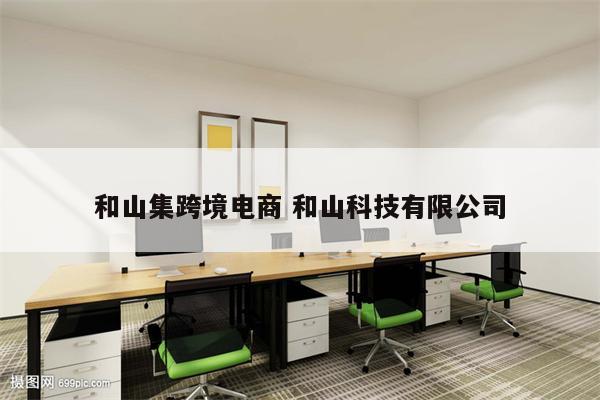 和山集跨境电商 和山科技有限公司