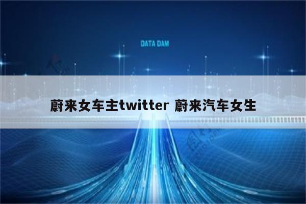 蔚来女车主twitter 蔚来汽车女生
