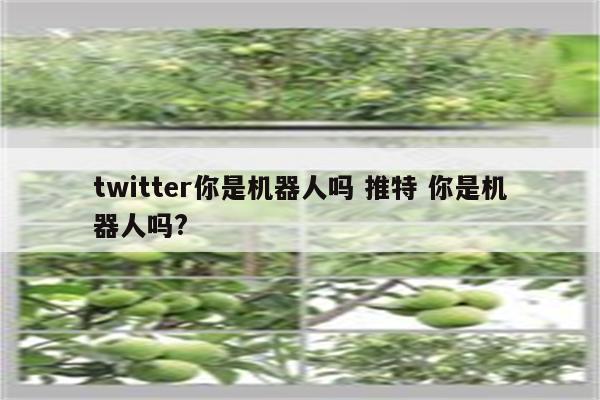 twitter你是机器人吗 推特 你是机器人吗?