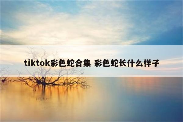tiktok彩色蛇合集 彩色蛇长什么样子