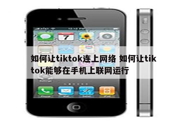 如何让tiktok连上网络 如何让tiktok能够在手机上联网运行