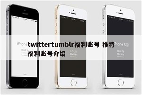twittertumblr福利账号 推特福利账号介绍
