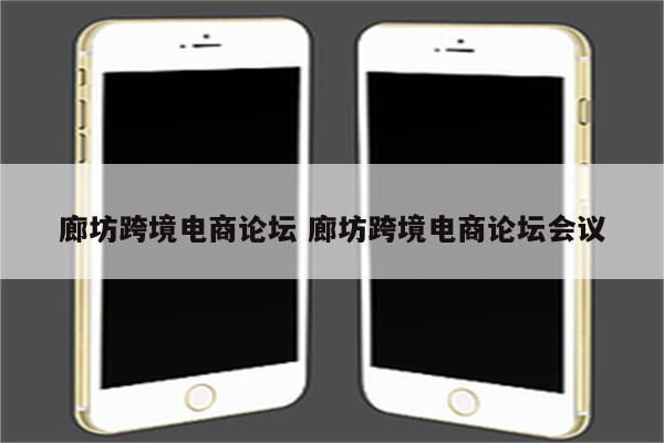 廊坊跨境电商论坛 廊坊跨境电商论坛会议