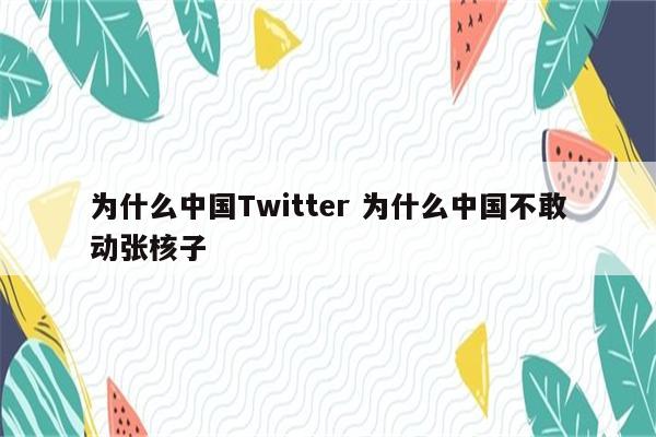 为什么中国Twitter 为什么中国不敢动张核子