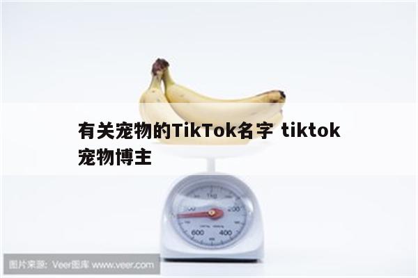 有关宠物的TikTok名字 tiktok宠物博主