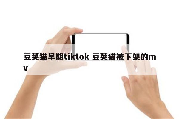 豆荚猫早期tiktok 豆荚猫被下架的mv