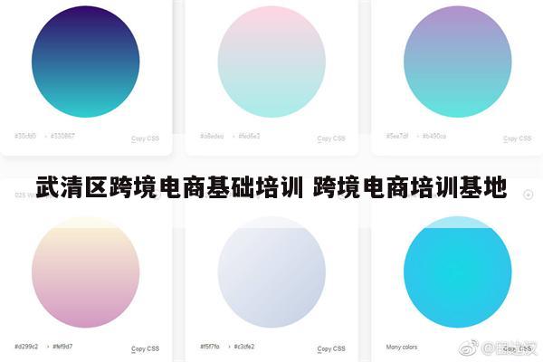 武清区跨境电商基础培训 跨境电商培训基地