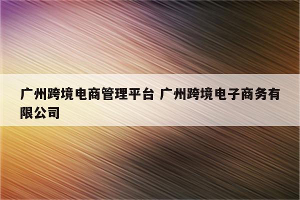 广州跨境电商管理平台 广州跨境电子商务有限公司