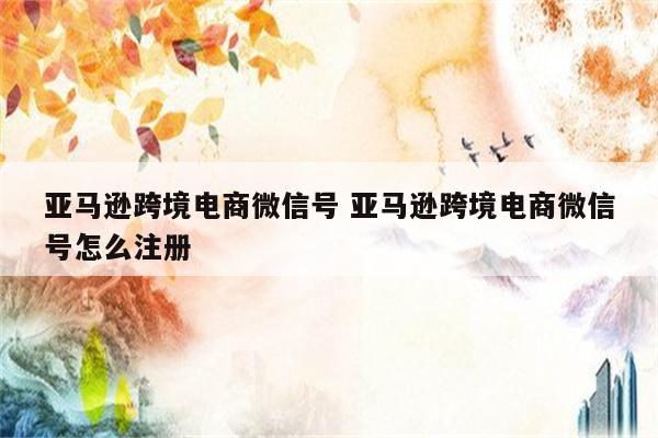 亚马逊跨境电商微信号 亚马逊跨境电商微信号怎么注册