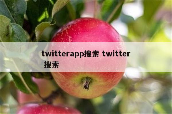 twitterapp搜索 twitter 搜索