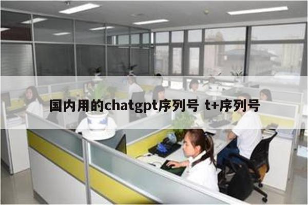 国内用的chatgpt序列号 t+序列号