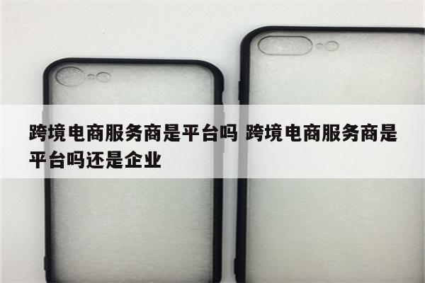 跨境电商服务商是平台吗 跨境电商服务商是平台吗还是企业