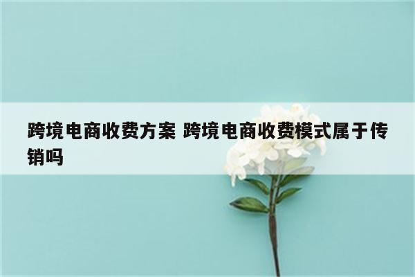 跨境电商收费方案 跨境电商收费模式属于传销吗