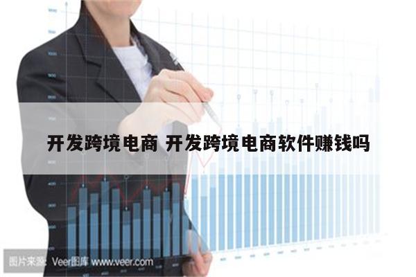 开发跨境电商 开发跨境电商软件赚钱吗