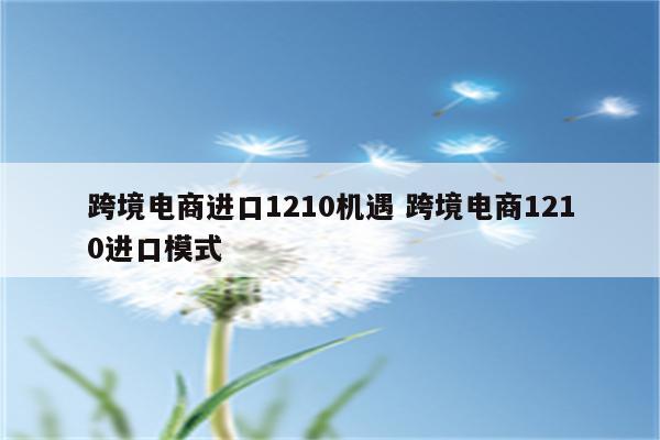 跨境电商进口1210机遇 跨境电商1210进口模式