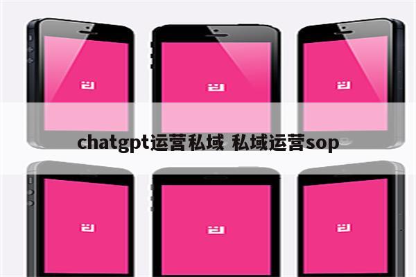 chatgpt运营私域 私域运营sop