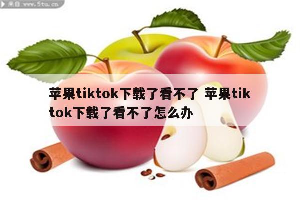 苹果tiktok下载了看不了 苹果tiktok下载了看不了怎么办