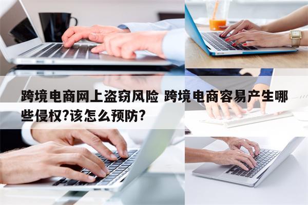 跨境电商网上盗窃风险 跨境电商容易产生哪些侵权?该怎么预防?