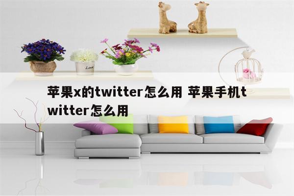 苹果x的twitter怎么用 苹果手机twitter怎么用