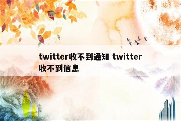 twitter收不到通知 twitter收不到信息