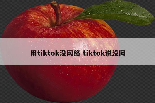 用tiktok没网络 tiktok说没网