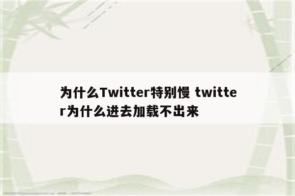 为什么Twitter特别慢 twitter为什么进去加载不出来