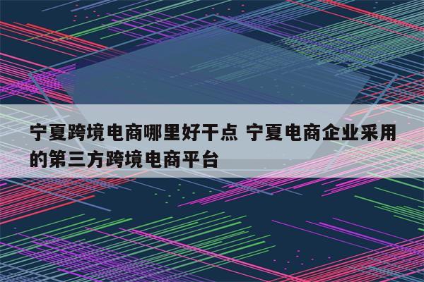 宁夏跨境电商哪里好干点 宁夏电商企业采用的第三方跨境电商平台