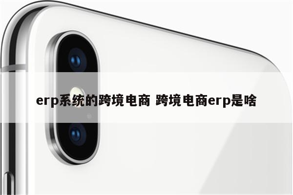 erp系统的跨境电商 跨境电商erp是啥