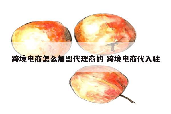 跨境电商怎么加盟代理商的 跨境电商代入驻