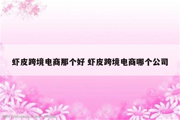 虾皮跨境电商那个好 虾皮跨境电商哪个公司