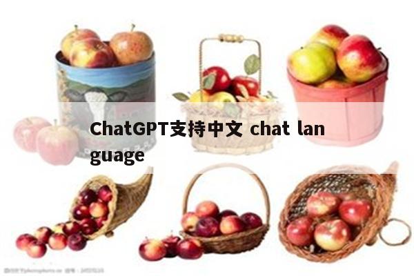 ChatGPT支持中文 chat language