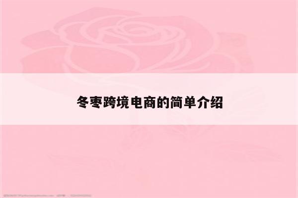 冬枣跨境电商的简单介绍