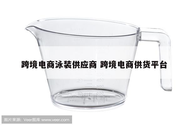 跨境电商泳装供应商 跨境电商供货平台