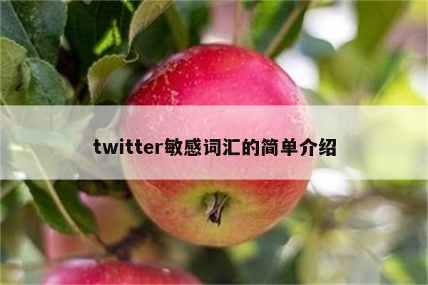 twitter敏感词汇的简单介绍