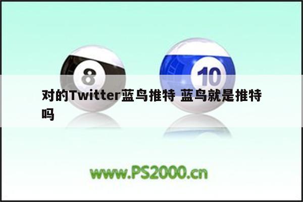 对的Twitter蓝鸟推特 蓝鸟就是推特吗