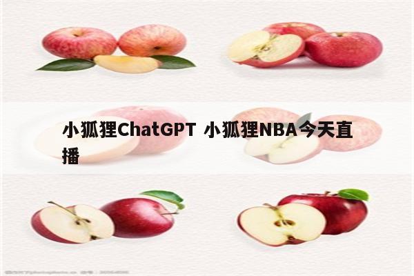 小狐狸ChatGPT 小狐狸NBA今天直播