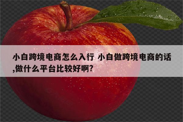 小白跨境电商怎么入行 小白做跨境电商的话,做什么平台比较好啊?